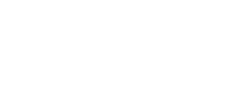 Rezolve Ai